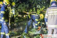 _2026-06-02 Baum über Straße B141 Pramwald-1611